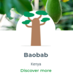 Plant Tree; Save Co2 – Baobab