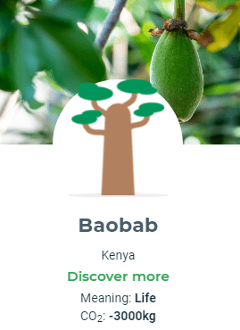 Plant Tree; Save Co2 – Baobab