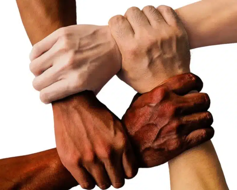 Hands joined together symbolizing unity in protecting nature