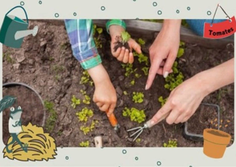 ECO BEST ACTIVITIES - MYECOBESTFRIEND