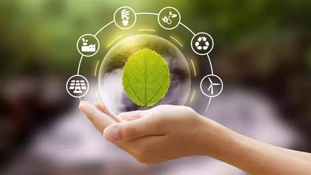 Image de collaboration - Myecobestfriend association