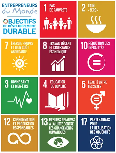 Image of the unied nations sustainable development goals - myecobestfriend association