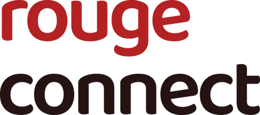 LOGO entreprise roube connect