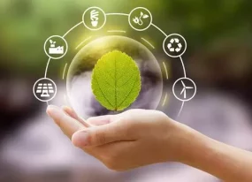 Image de collaboration - Myecobestfriend association