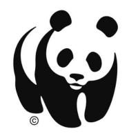 cercle-croisé - 2021-08-04T155552.968